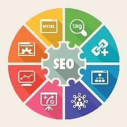 Audit Domain Links Website SEO