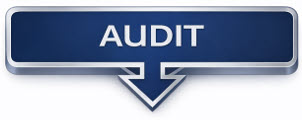 Rain Structured Authority Development Process AUDIT Title