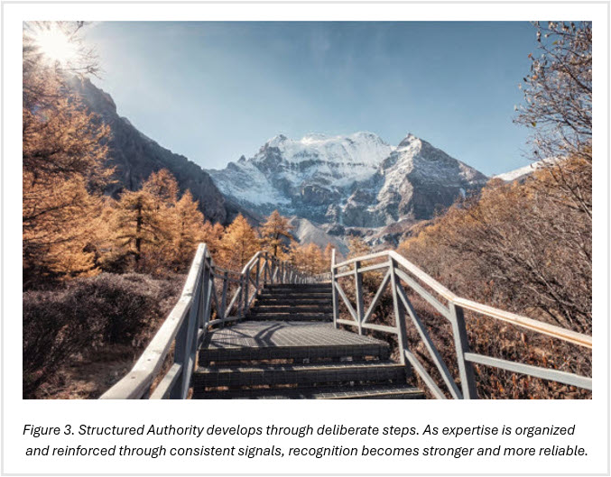 Steps for attorneys and law firms to take toward Structural Authority