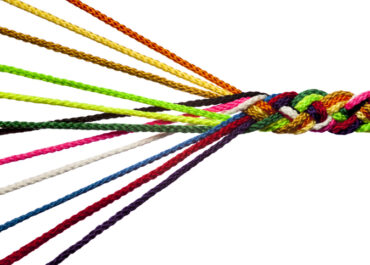 Individual elements begin to work together to form a structure and communicate signals